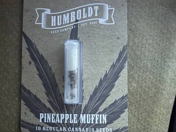 Sell: Humboldt Seed Company ES -  Pineapple Muffin