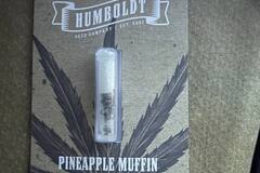 Venta: Humboldt Seed Company ES -  Pineapple Muffin