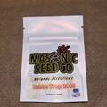 Vente: Masonic Seeds - Bubba Trop 2099