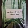 Venta: Blackberry Breath F3