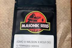 Vente: Masonic Seeds - GMO x Wilson x Koji OG (FEMS)