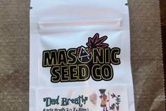 Vente: Masonic Seeds - Garlic Breath 2.0 x Wilson