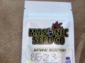 Vente: Masonic Seeds - Bubblegum