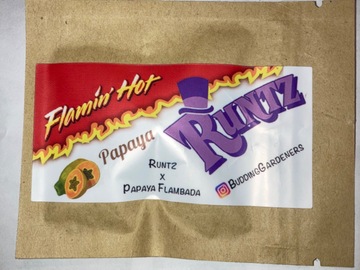 Vente: Flaming Hot Papaya Runtz 10 pack of seeds