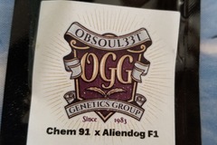 Venta: Chem 91 x Aliendog Obsoul33t