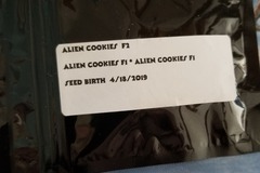 Venta: Alien cookies f2 Jaws
