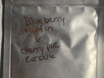 Blueberry Muffin x Cherry Pie Redux
