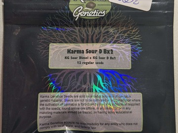 Sell: Karma Sour D Bx2 by Karma Genetics