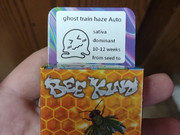 Sell: Ghost train haze s1 automatic  5+ pack