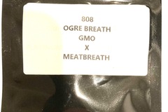 Vente: 808 - ‘Ogre Breath’ GMO x Meatbreath
