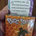 Venta: Wedding cake feminized Auto flower 5+ seeds
