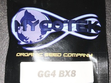 Vente: Mycotek GG4 BX8
