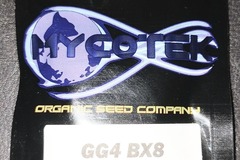 Vente: Mycotek GG4 BX8