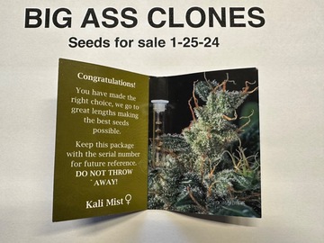 Sell: Serious seeds kali mist (feminized)