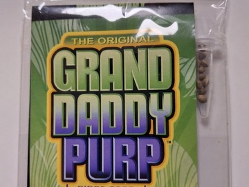 Vente: Ken's Original Grand Daddy Purp 10 Regular Seeds