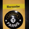 Sell: 4TH OF JULY SALE! Harambe by Loompa Farms, 10 Fems.SALE