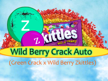 Vente: Wild Berry Crack Auto (FEMINIZED) 12 seeds
