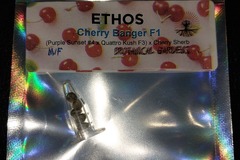 Vente: Cherry Banger Regular Seeds by Ethos