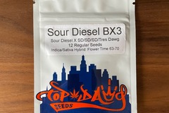 Venta: Sour Diesel BX3 - Top Dawg