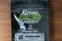 Sell: Headbanger - Karma
