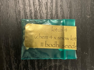 Sell: Lotus 4 (Chem 4 X Snow Lotus) - Bodhi Seeds