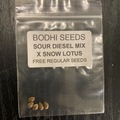 Vente: Sour Diesel Mix X Snow Lotus - Bodhi Seeds