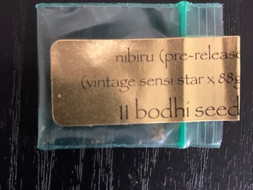 Sell: Nibiru - Bodhi Seeds