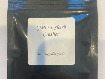 Venta: Seed Junky Genetics - GMO x Sherb Crasher {REG} [10pk]