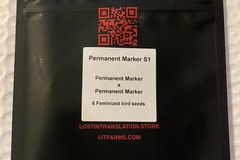Venta: Permanent Marker S1 from LIT Farms