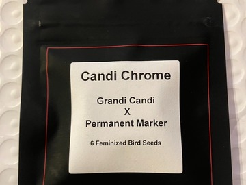 Candi Chrome from LIT Farms