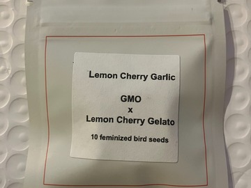 Lemon Cherry Garlic from LIT Farms