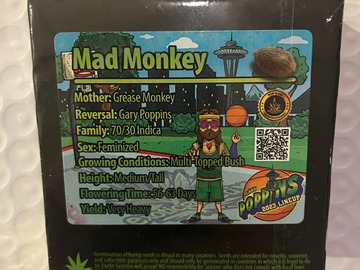 Mad Monkey from Exotic Genetix