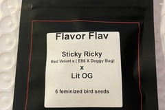 Sell: Flava Flav from LIT Farms