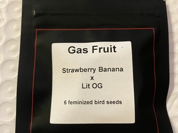Gas Fruit from LIT Farms