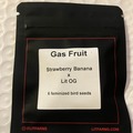 Sell: Gas Fruit from LIT Farms