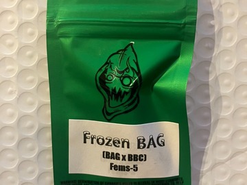 Frozen Bag from Robinhood
