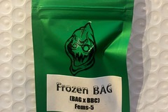 Sell: Frozen Bag from Robinhood