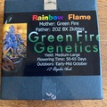 Sell: Rainbow Flame 12 pack