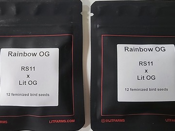 Lit Rainbow OG.     RS-11 x LIT OG  12 fems