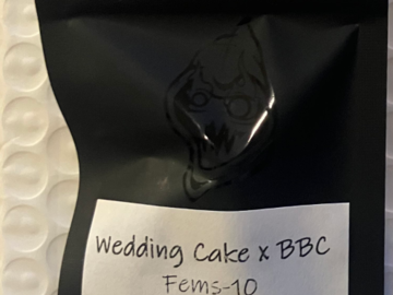 Wedding Cake x BBC from Square One