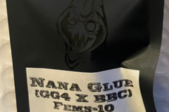 Sell: Nana Glue from Square One