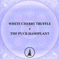 Vente: White Cherry Truffle x The Puck Hashplant
