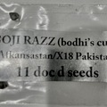 Vente: Doc d - Goji Razz (bodhi's cut) x Afkansastan/X18 Pakistani