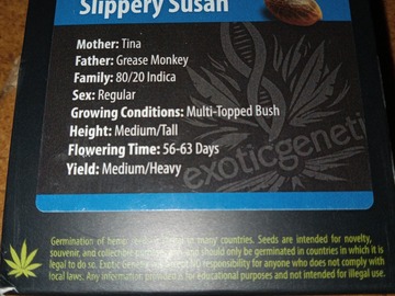 Venta: Exotic Genetix - Slippery Susan