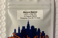 Vente: Marion's Beamer from Top Dawg