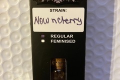 Vente: Now N Cherry from Relentless (NEW)