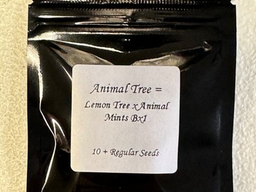 Sell: Animal Tree - Seed Junky Genetics