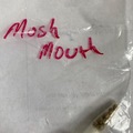 Venta: Lost River Seeds- Mush Mouth