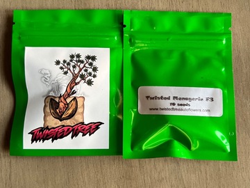 Sell: Twisted Tree - Twisted Menagerie F3 (10 Auto Fem Seeds)