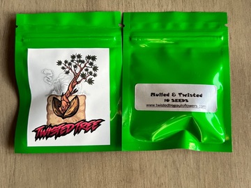 Sell: Twisted Tree - Mulled and Twisted (10 Fem Auto Seeds)